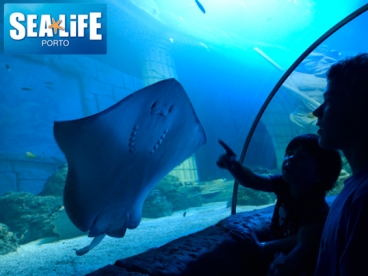 Sea Life Porto