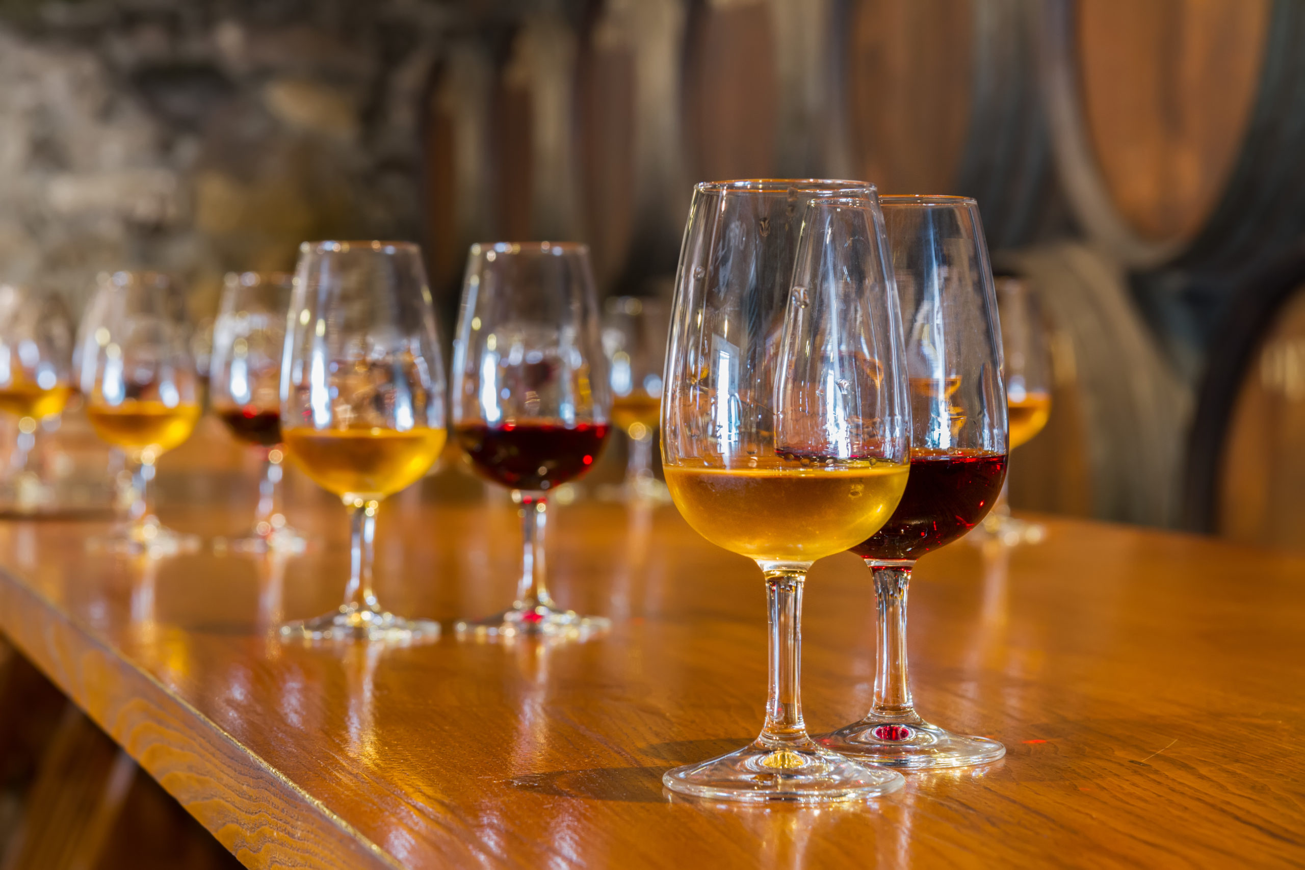 Wine tasting in the cellars of Porto