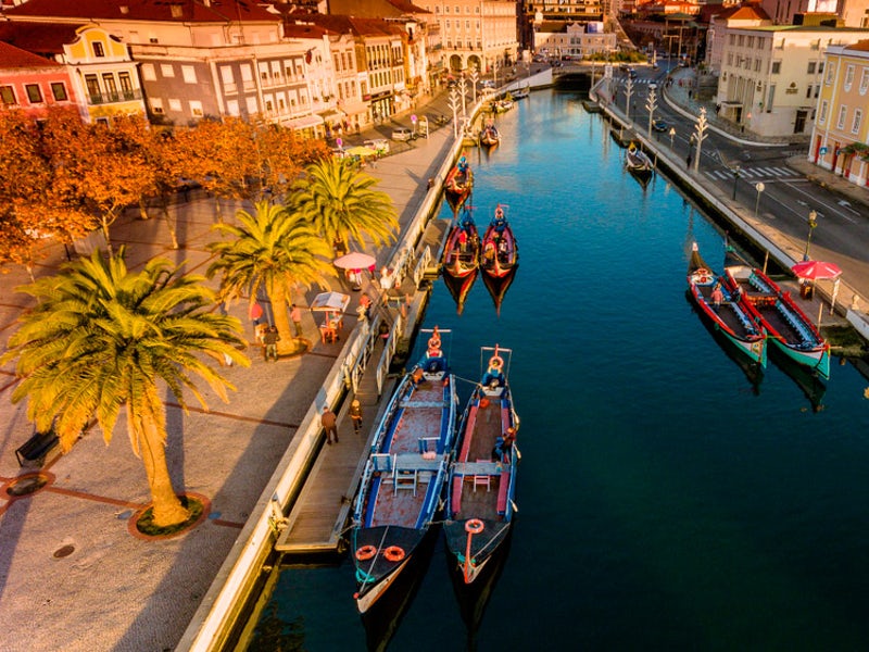 Excursion to Aveiro from Porto