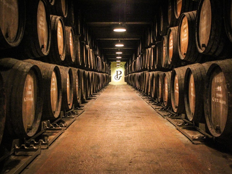 best port wine cellars to visit in porto