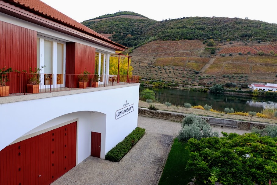 douro wine tour from porto