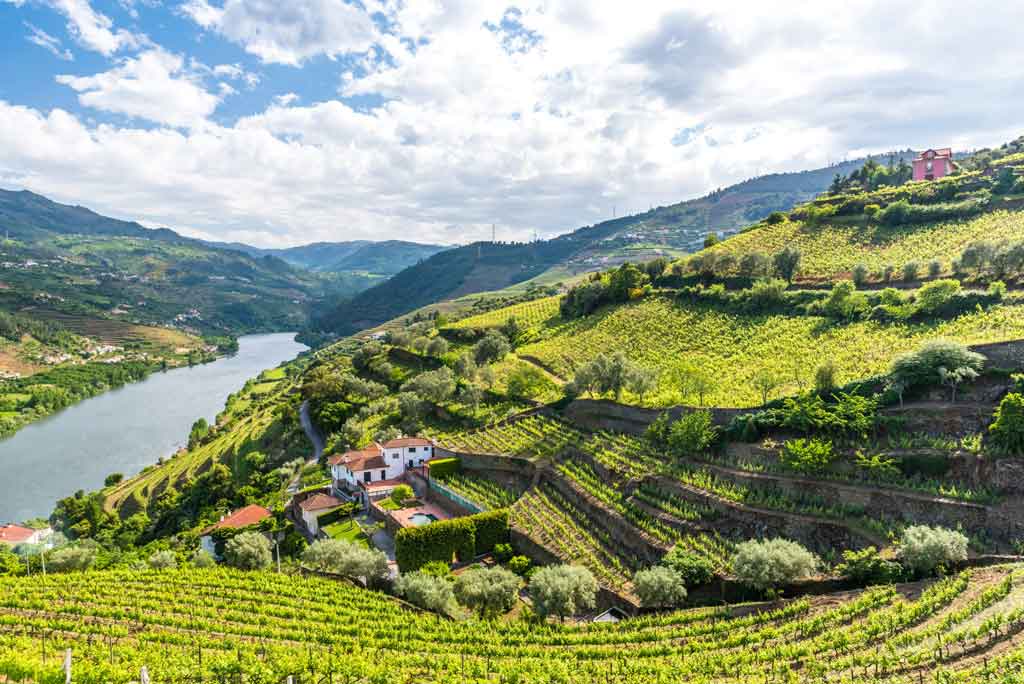 The Douro Valley